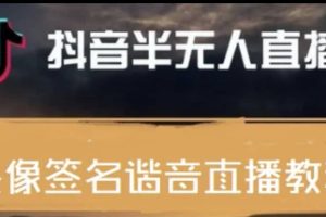 最近火爆的抖音头像签名设计半无人直播直播项目：直播教程 素材 直播话术