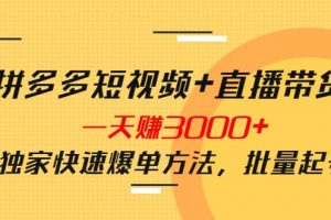 拼多多短视频 直播带货，一天赚3000 独家快速爆单方法，批量起号