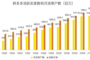 蓝海项目拼多多视频带货课，2022年入百万新风口【视频教程 软件】