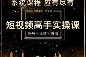 短视频高手实操课：账号 运营 直播，从入门到精通，系统课程，应有尽