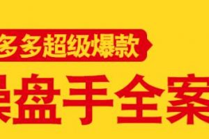 拼多多超级爆款操盘手全案课，教你新店0-1快速突破