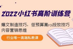 2022小红书高阶训练营：爆文制造技巧，低预算高roi投放技巧，内容营销思维