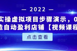 新人实操虚拟项目步骤演示，0基础打造自动盈利店铺【视频课程】