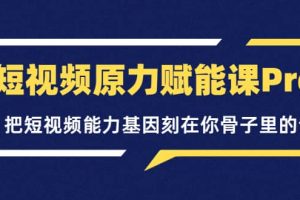 短视频原力赋能课Pro，把短视频能力基因刻在你骨子里的课（价值4999元）