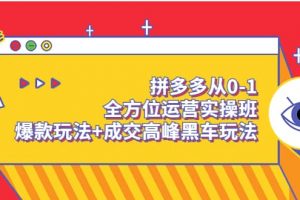 拼多多从0-1全方位运营实操班：爆款玩法 成交高峰黑车玩法（价值1280）