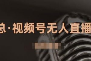 J总·视频号无人直播带货，有微信就可以做，可以批量【视频课程】