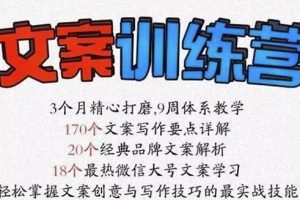 龙小天《文案训练营》全面系统解决文案写作难题！