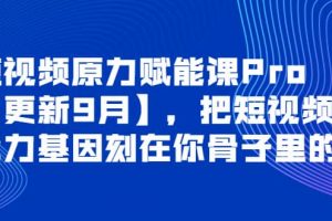 短视频原力赋能课Pro【更新9月】，把短视频能力基因刻在你骨子里的课