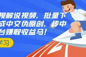 国外影视解说视频，批量下载翻译成中文伪原创，传中视频平台赚取收益