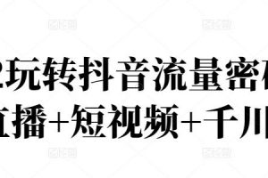 2022玩转抖音流量密码，(直播 短视频 千川)