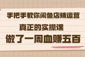 2022版《手把手教你闲鱼店铺运营》真正的实操课做了一周血赚五百(16节课)