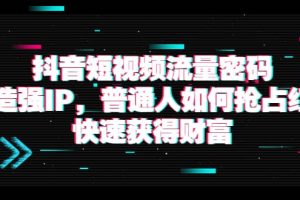 抖音短视频流量密码：打造强IP，普通人如何抢占红利，快速获得财富