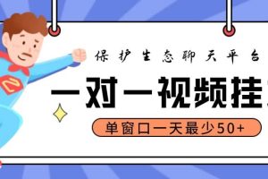 最新保护生态一对一视频挂机聊天项目，单窗口一天最少50 【永久脚本 教程】