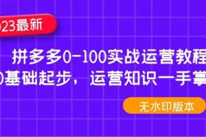 2023拼多多0-100实战运营教程，0基础起步，运营知识一手掌握（无水印）