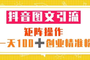 抖音图文引流 矩阵操作 一天100 创业精准粉（5节视频课 素材模板）