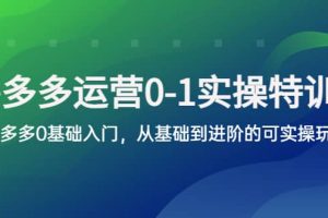 拼多多-运营0-1实操训练营，拼多多0基础入门，从基础到进阶的可实操玩法