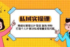 私域实战课程：精细化管理SOP 裂变 复购 转粉 打造个人IP 私域增量变现问题