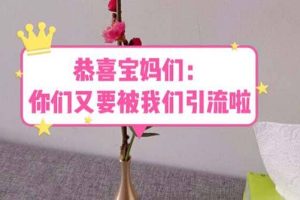 恭喜宝妈们：你们又要被我们引流了（教程 222g资料）