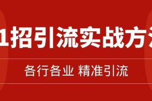 精准引流术：11招引流实战方法，让你私域流量加到爆（11节课完整版）