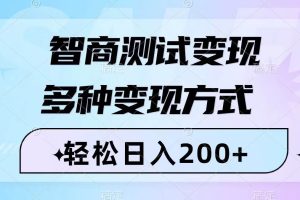 智商测试变现，轻松日入200 ，几分钟一个视频，多种变现方式（附780G素材）