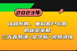 认知布局，重构客户心智的秘密策略三天音频课 文字版 视频录像