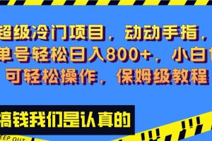 超级冷门项目,动动手指，单号轻松日入800 ，小白也可轻松操作，保姆级教程