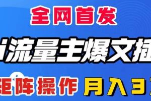 AI流量主爆文插件，只需一款插件全自动输出爆文，矩阵操作，月入3W＋