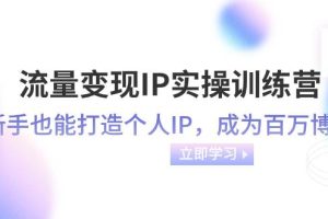 流量变现-IP实操训练营：新手也能打造个人IP，成为百万博主（46节课）