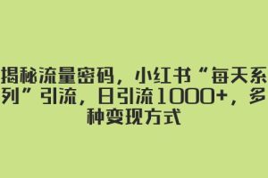 揭秘流量密码，小红书“每天系列”引流，日引流1000 ，多种变现方式