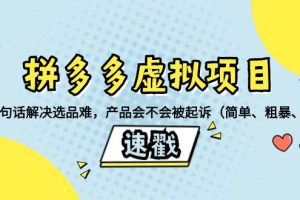 拼多多虚拟项目：三两句话解决选品难，一个方法判断产品容不容易被投诉，产品会不会被起诉（简单、粗暴、好用）