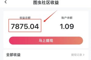 图文冷门新玩法，搭配AI无脑上传，高效月入5000