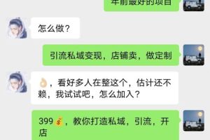 年底爆火红包封面项目，风口项目，单月变现六位数，保姆级教程!