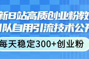 最新B站高质创业粉教程，团队自用引流技术公开